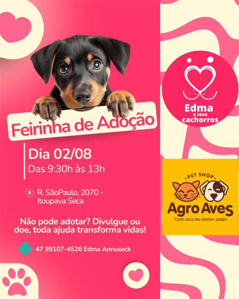 Feirinha de Adoção: um sábado para transformar vidas com amor e solidariedade