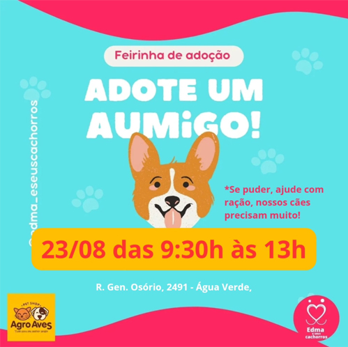 Feirinha de Adoção acontece no dia 23 de agosto em Blumenau