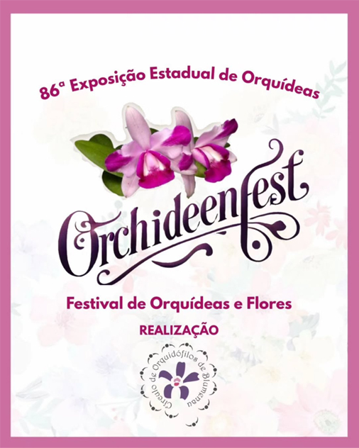Blumenau recebe a 86ª Exposição Estadual de Orquídeas no Parque Vila Germânica