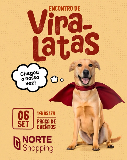 Blumenau recebe o 1º Encontro de Vira-Latas no Norte Shopping